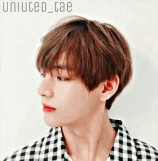 🌿 uniuted_tae whatsapp sticker