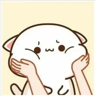 😳 gato, fofo, animal, desenho animado whatsapp sticker