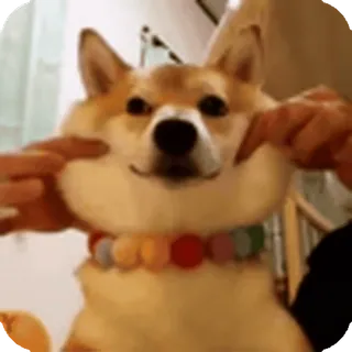 🌟