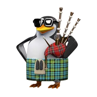 🎼 chim cánh cụt, váy kilt, kèn túi, Scotland, người Scotland, âm nhạc, nhạc cụ telegram sticker