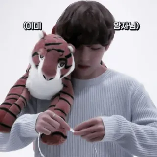 🪡 왕자님 K-pop, tigre, animal, coreano, pelúcia, retrato telegram sticker