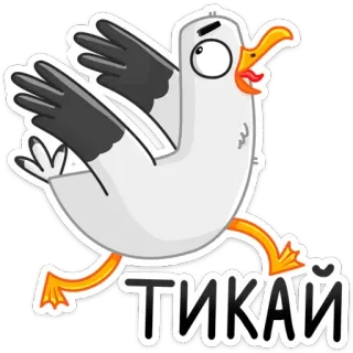 🏃‍♂️ ТІКАЙ seagull, bird, running, ukrainian, sticker telegram sticker