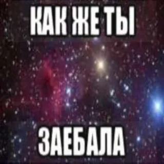 😥 КАК ЖЕ ТЫ ЗАЕБАЛА offensivo, parolaccia, russo, espressione, meme telegram sticker