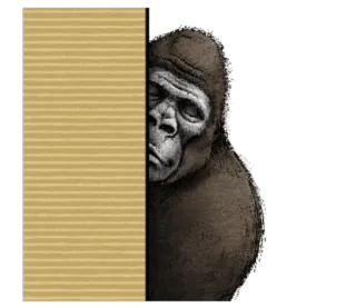 😶 gorila, animal, macaco, escondido, curioso telegram sticker