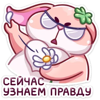 🌸 СЕЙЧАС УЗНАЕМ ПРАВДУ coelho, coelho, flor, desenho animado, óculos, fofo, rosa, determinado whatsapp sticker
