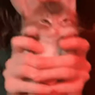 🐈