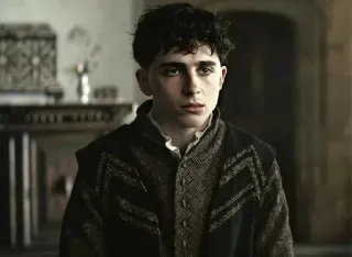 🦇 Timothée Chalamet actor, celebridad, retrato, serio telegram sticker