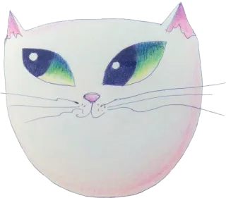 👀 gato, animal, mascota, felino, gato doméstico, ilustración telegram sticker