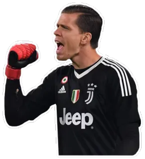 🇵🇱 piłka nożna, piłka nożna, sport, bramkarz, sportowiec, celebracja, Juventus telegram sticker
