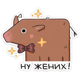 🤵 НУЖЕНІХ! 動物, 豚, リボン, かわいい, 漫画, キラキラ telegram sticker