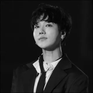 🖇 мужчина, портрет, черно-белое, человек, костюм, галстук, kpop, j-hope, bts telegram sticker