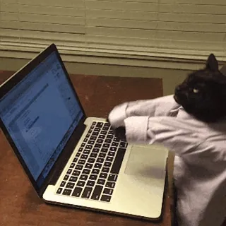 💻 mèo, máy tính xách tay, đánh máy, động vật, công việc, hài hước telegram sticker