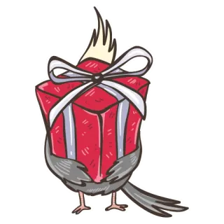 🎁 uccello, calopsitta, regalo, regalo, carino, celebrazione telegram sticker