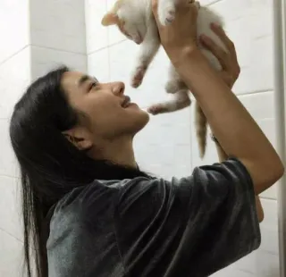 😻 여자, 고양이, 애완 동물, 동물, 반려 동물, 사람들 telegram sticker