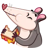 🤤 주머니쥐, 샌드위치, 만화, 동물, 귀여운 whatsapp sticker