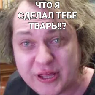❓ ЧТО Я СДЕЛАЛ ТЕБЕ ТВАРЬ!!? Meme, Russisch, Beleidigung, Gesicht telegram sticker