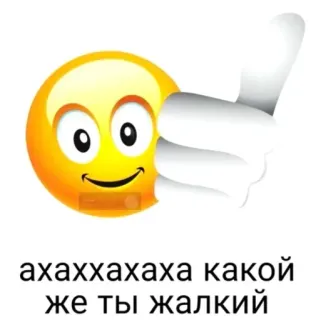 😉 ахаххахаха какой же ты жалкий emoji, russian text, expression, smiley face whatsapp sticker