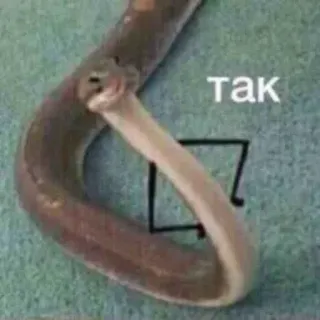🐍 Так cobra, réptil, animal, texto, russo telegram sticker