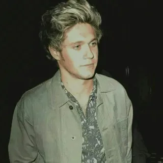 🌿 Niall Horan persona, cantante, celebridad, niall horan, one direction telegram sticker
