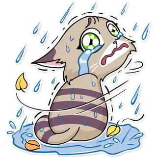 😭 chat, pleurer, triste, pluie, mignon, animal telegram sticker
