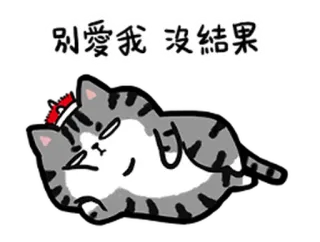😒 別愛我 沒結果 mèo, buồn, nằm, chữ, nhãn dán, hoạt hình telegram sticker
