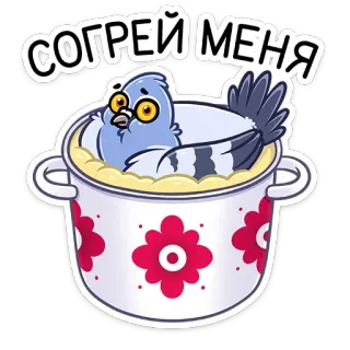 🤗 СОГРЕЙ МЕНЯ pigeon, pot, cartoon, bird, soup, cute, warm, kawaii telegram sticker