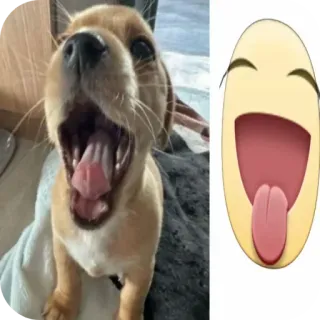 🐶 chien, chiot, emoji, langue, drôle, mignon, expression telegram sticker