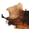 🤎