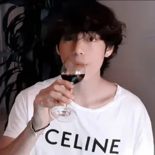 ❤️ CELINE personne, vin, verre, boisson, celine, mode telegram sticker