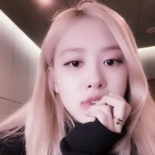 🌸 Rose kpop, cantante, donna, ritratto, celebrità, rosa, blackpink telegram sticker