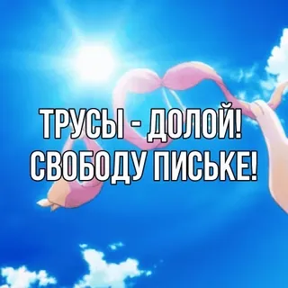 😼 ТРУСЫ - ДОЛОЙ!
СВОБОДУ ПИСЬКЕ! biancheria intima, cielo, anime, libertà, testo russo telegram sticker
