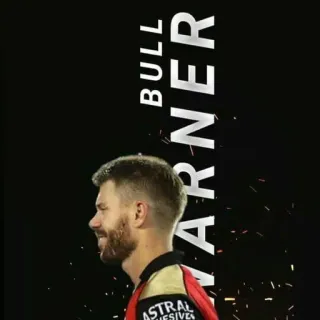 😇 David Warner BULL WARNER David Warner, cricket, sports, athlete whatsapp sticker