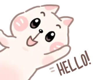 😃 hi baby Katze, niedlich, Gruß, Sticker, Tier whatsapp sticker