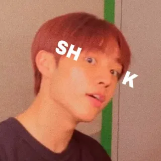 ❄️ SH
K ตกใจ, คน, หน้า, มีม telegram sticker