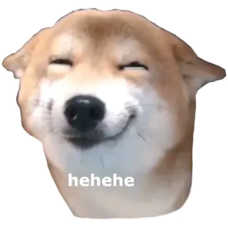 😃 hehehe cane, meme, divertente, shiba inu, eh eh telegram sticker