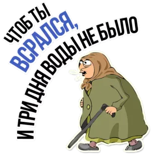 😡 ЧТОБ ТЫ ВСРАЛСЯ, И ТРИ ДНЯ ВОДЫ НЕБЫЛО en colère, vieille femme, russe, malédiction, dessin animé, babouchka telegram sticker
