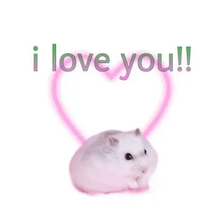 💓 i love you!! 햄스터, 사랑, 하트, 귀여운, 애완 동물 telegram sticker