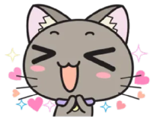 💕 gato, fofo, corações, brilhos, desenho animado, animal, feliz whatsapp sticker