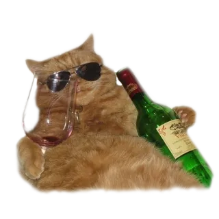 🍷 gato, vino, gafas de sol, alcohol, guay, fiesta whatsapp sticker