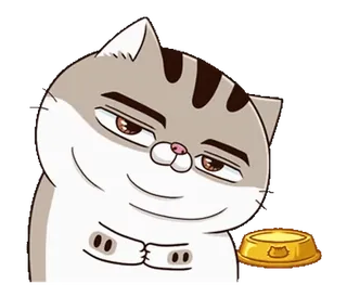 😃 Katze, arrogant, Haustier, Tier, lustig telegram sticker