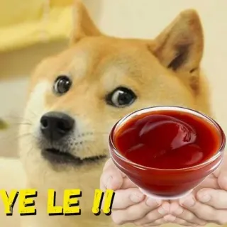🥡 Doge YE LE !!! doge, meme, ketchup, gracioso, perro telegram sticker