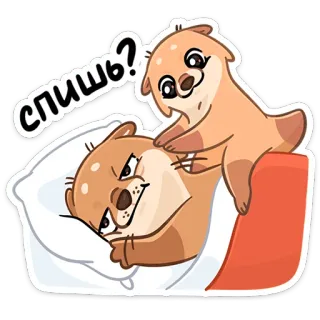 😴 спишь? นาก, นอนหลับ, น่ารัก, สัตว์, หมอน whatsapp sticker