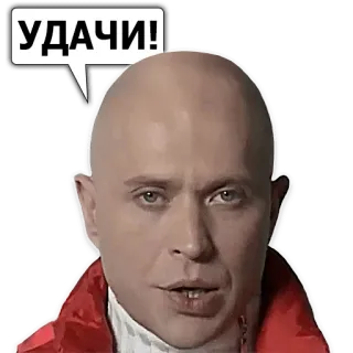 ✌ УДАЧИ! chauve, tête, visage, bulle de dialogue, bonne chance, russe telegram sticker