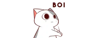 🥺 BOI gato, menino, fofo, meme, engraçado telegram sticker