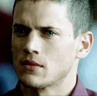 ⭐️ Wentworth Miller Prison Break Schauspieler, Porträt, Mann, Prominenter telegram sticker