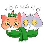 🥶 Kitten and Cat whatsapp sticker