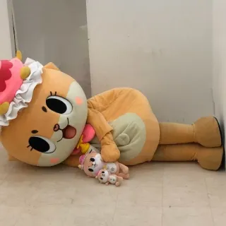 🐻 telegram sticker