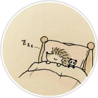 😴 zzz... ёж, сон, милый, животное, кровать, мультфильм whatsapp sticker