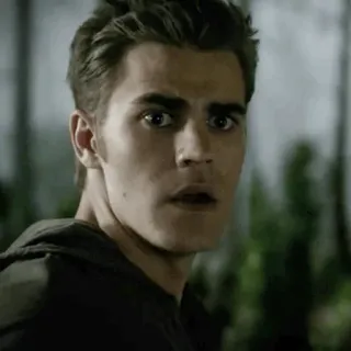 😳 Stefan Salvatore The Vampire Diaries Стефан Сальваторе, Дневники вампира, вампир, телешоу, портрет, Пол Уэсли telegram sticker