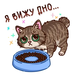 🐱 Я вижу дно... telegram sticker